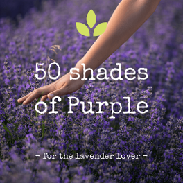 50 shades of purple