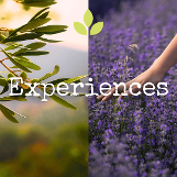 Experiences