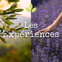Les Expériences