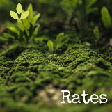 Rates
