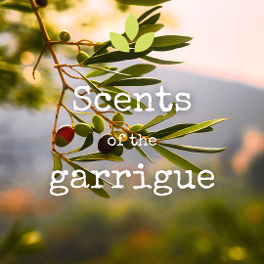 senteurs de garrigue bon cadeau